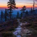 Black Hills Czarna Gora / Bike ^ Chalet Sienna (Klodzko)