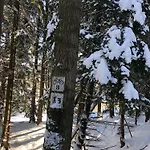Chalet Black Hills Czarna Gora / Bike ^ Sienna (Klodzko)