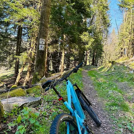 Black Hills Czarna Gora / Bike ^ *