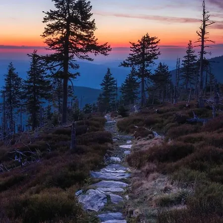 Black Hills Czarna Gora / Bike ^ Chalet Sienna (Klodzko)