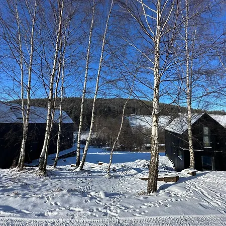 Black Hills Czarna Gora / Bike ^ Шале *