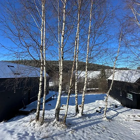 Black Hills Czarna Gora / Bike ^ Chalet *