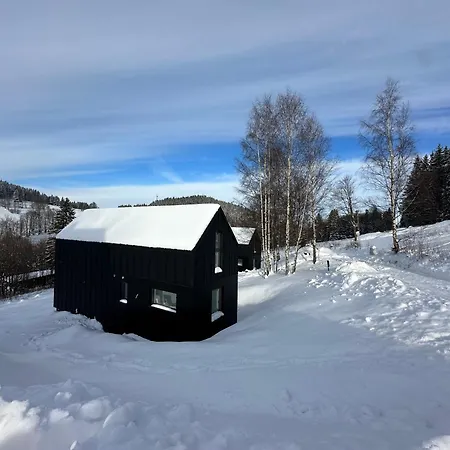 Black Hills Czarna Gora / Bike ^ Chalet Sienna (Klodzko)