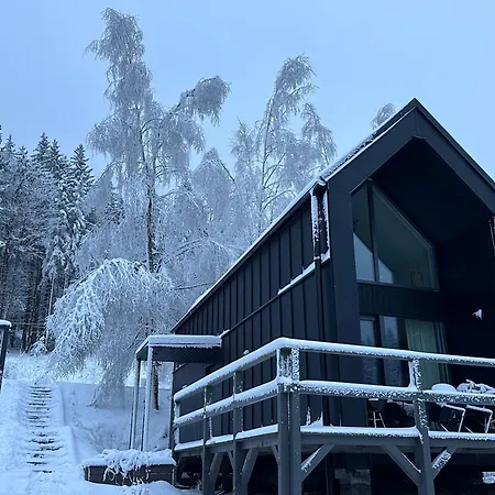 Black Hills Czarna Gora / Bike ^ Sienna (Klodzko)