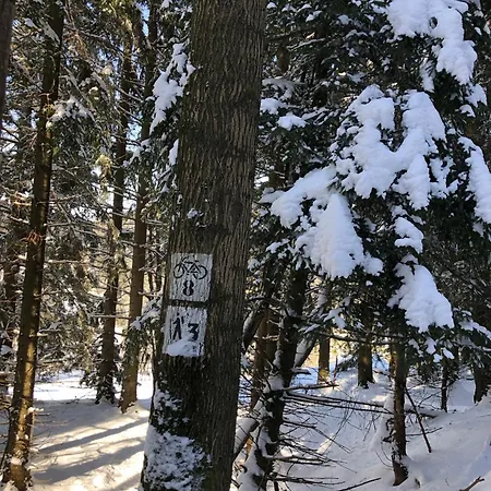 Шале Black Hills Czarna Gora / Bike ^ Сенна