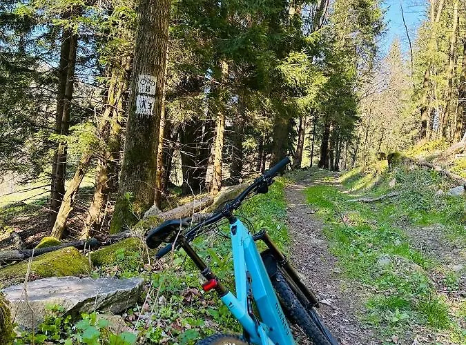 Black Hills Czarna Gora / Bike ^ *