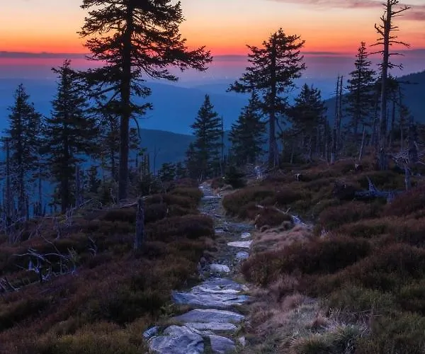 Black Hills Czarna Gora / Bike ^ Σαλέ Sienna (Klodzko)