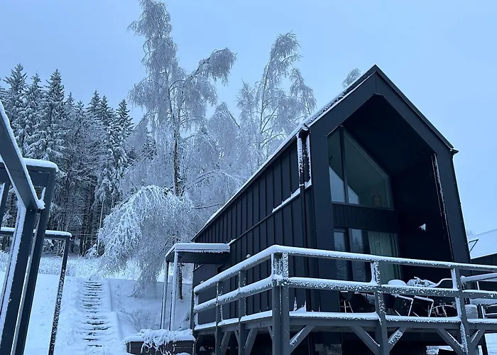 Black Hills Czarna Gora / Bike ^ Sienna (Klodzko)