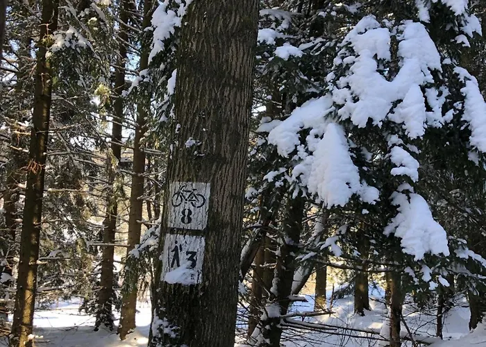 Σαλέ Black Hills Czarna Gora / Bike ^ Sienna (Klodzko)